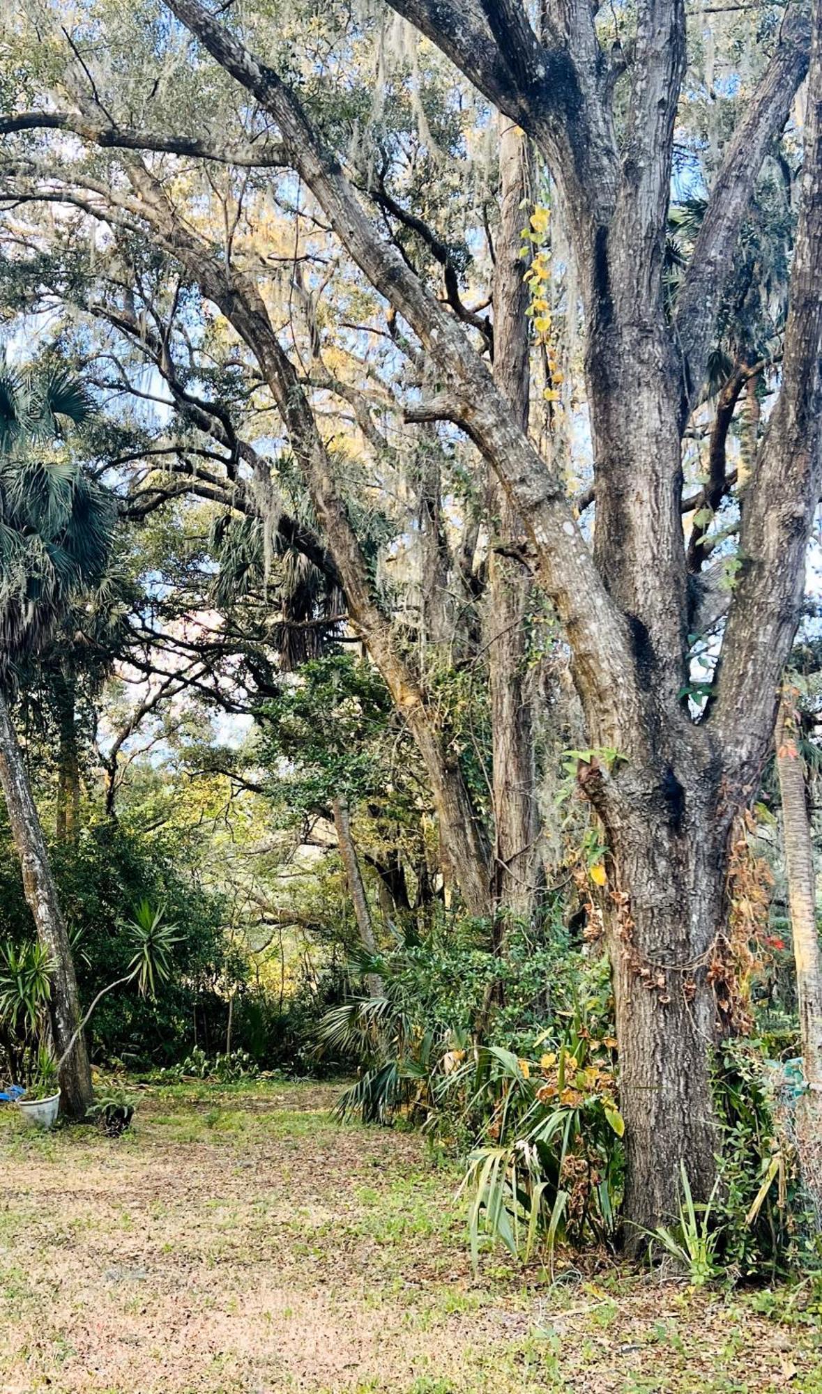 Country Welcome Micanopy المظهر الخارجي الصورة
