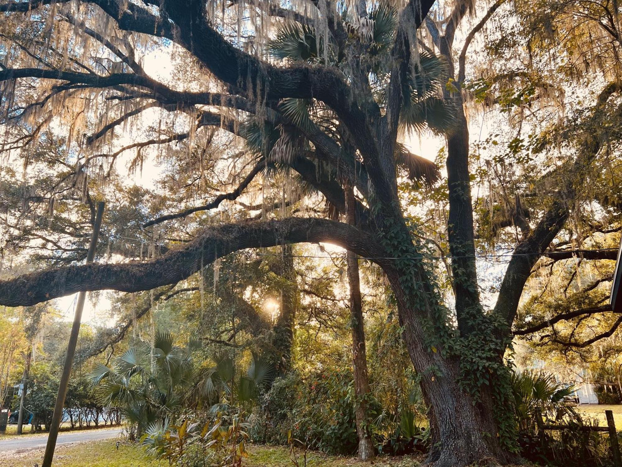 Country Welcome Micanopy المظهر الخارجي الصورة